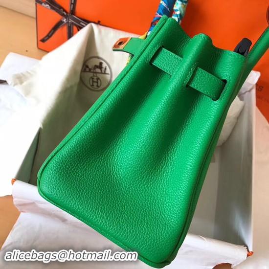 Stylish Hermes Birkin Tote Bag Original Togo Leather BK35 Green