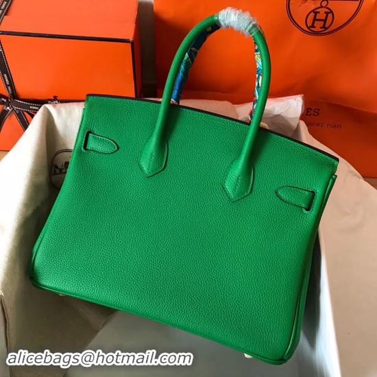 Stylish Hermes Birkin Tote Bag Original Togo Leather BK35 Green