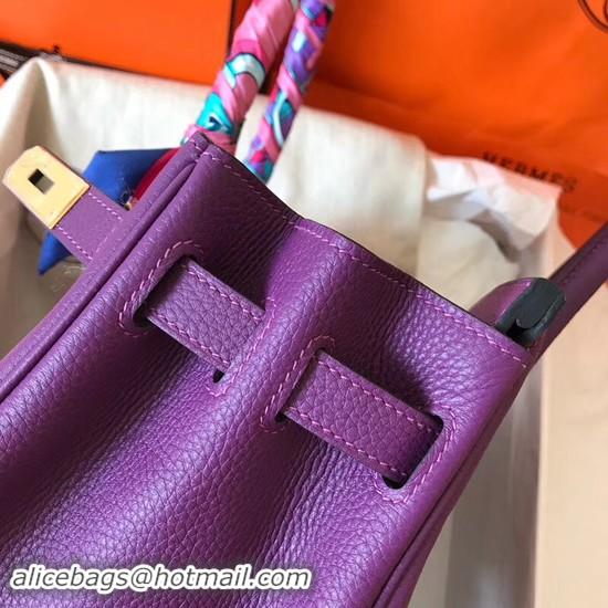 Perfect Hermes Birkin Tote Bag Original Togo Leather BK35 purple