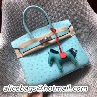 Luxury Hermes Real ostrich leather birkin bag BK35 sky blue