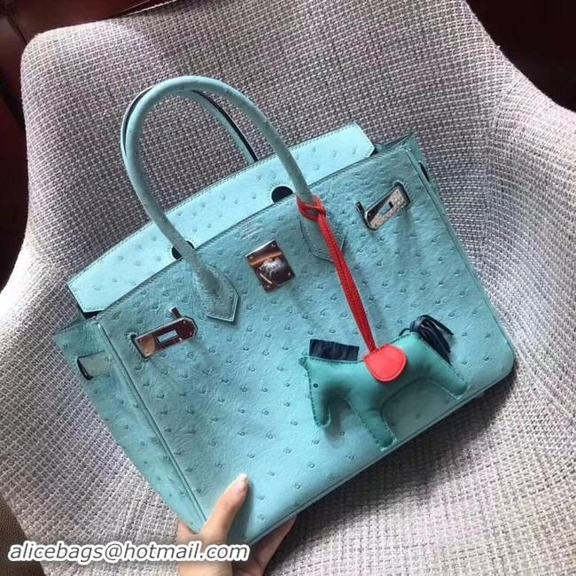 Luxury Hermes Real ostrich leather birkin bag BK35 sky blue