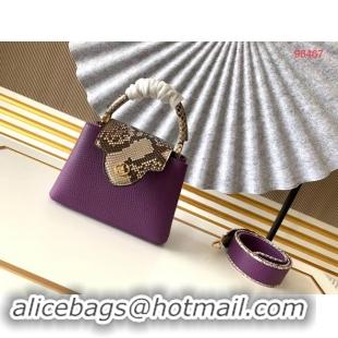 Discount Louis Vuitton Original Taurillon leather CAPUCINES BB M95509 purple