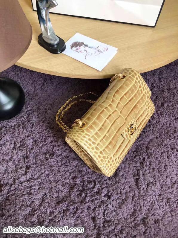 Charming Chanel Classic Flap Bag Original Alligator & Gold-Tone Metal A01112 apricot