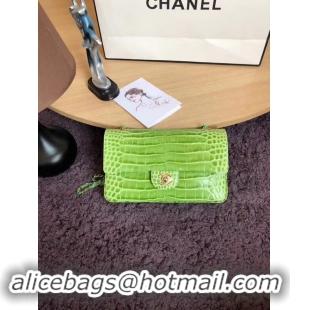 Discount Chanel Classic Flap Bag Original Alligator & Gold-Tone Metal A01112 Green grass