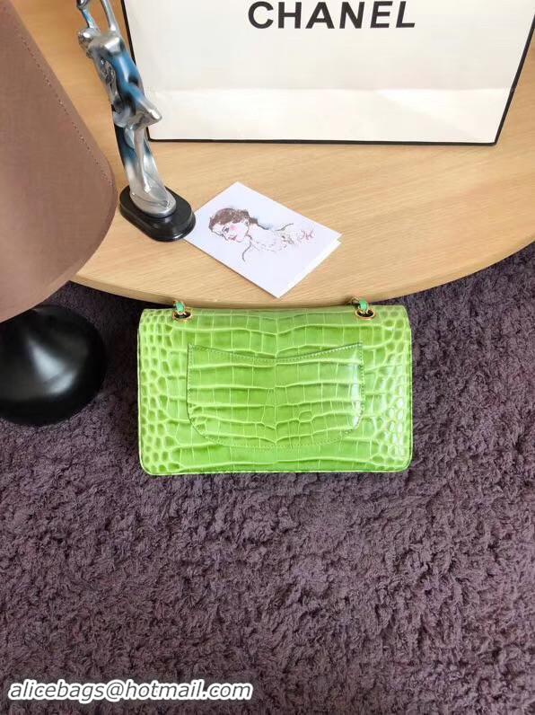 Discount Chanel Classic Flap Bag Original Alligator & Gold-Tone Metal A01112 Green grass