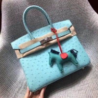 Luxury Hermes Real ostrich leather birkin bag BK35 sky blue