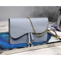 Discount Dior SADDLE DIOR OBLIQUE Chain Clutch bag S5614 light blue