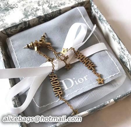 Luxury Dior Earrings CE3522