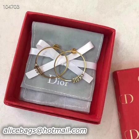 Luxury Dior Earrings CE3542