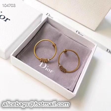 Luxury Dior Earrings CE3542