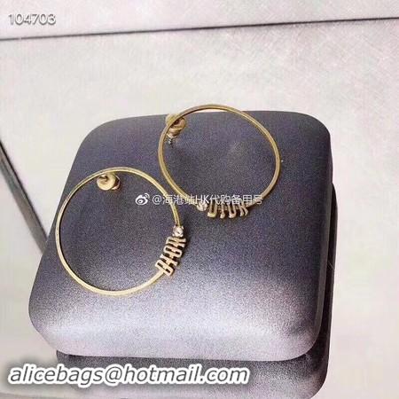 Luxury Dior Earrings CE3542