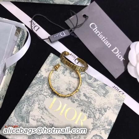 Discount Dior Earrings CE3552