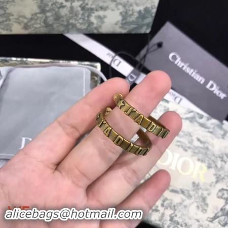 Discount Dior Earrings CE3552