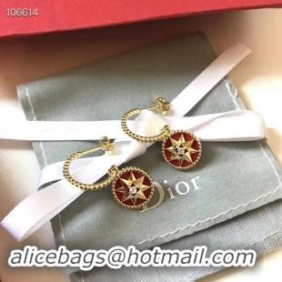 Fashion Dior Earrings CE3570