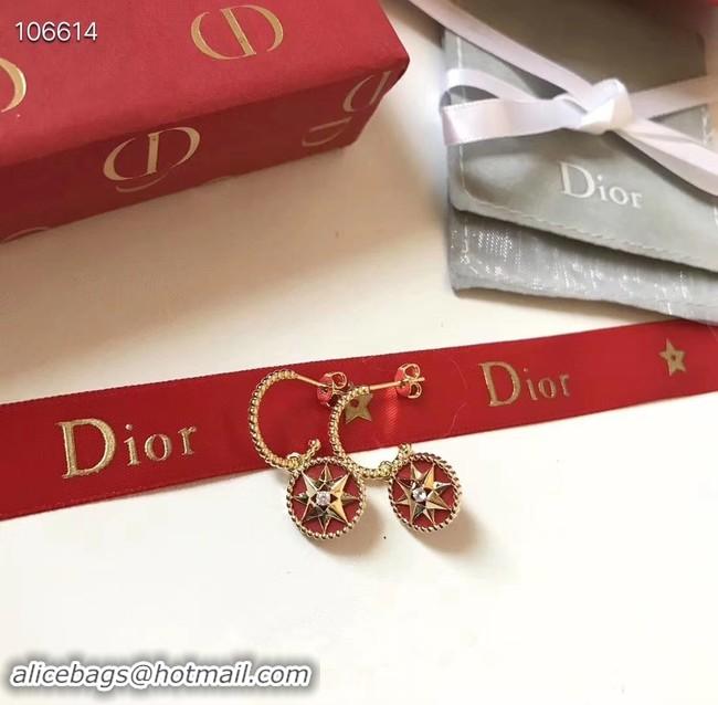 Fashion Dior Earrings CE3570