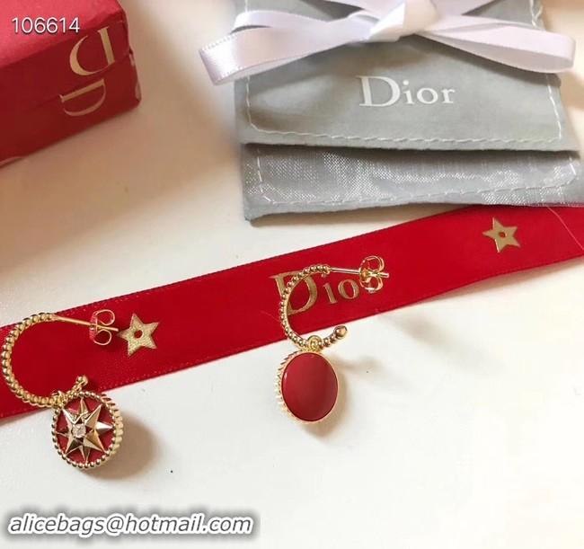 Fashion Dior Earrings CE3570