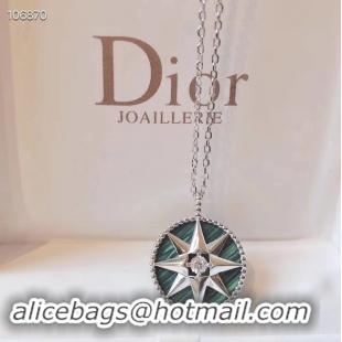 Classic Hot Dior Earrings CE3586