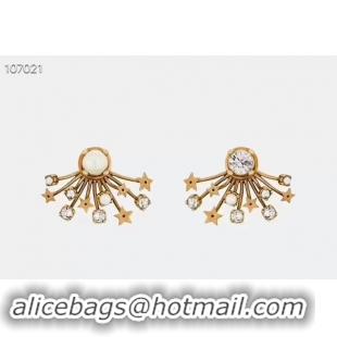 Best Price Dior Earrings CE3597