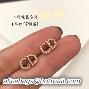 Classic Dior Earrings CE3830