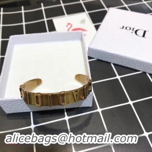 Unique Style Dior Bracelet CE3836