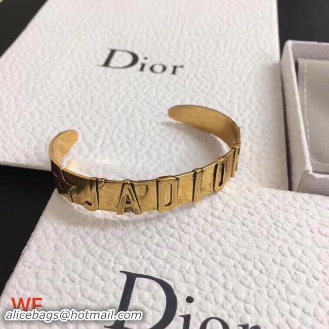 Unique Style Dior Bracelet CE3836