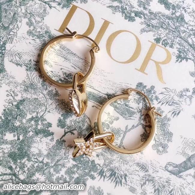 Purchase Dior Earrings CE3860