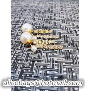 Popular Style Dior Earrings CE3861