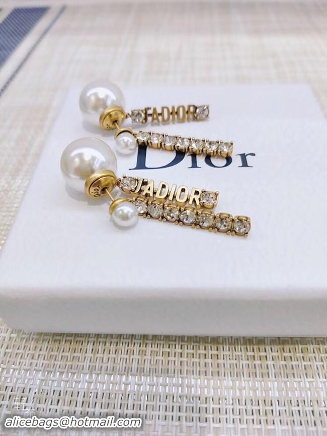 Popular Style Dior Earrings CE3861