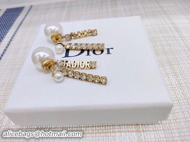 Popular Style Dior Earrings CE3861