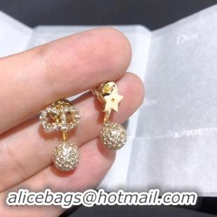 Shoulder Carry Dior Earrings CE3898