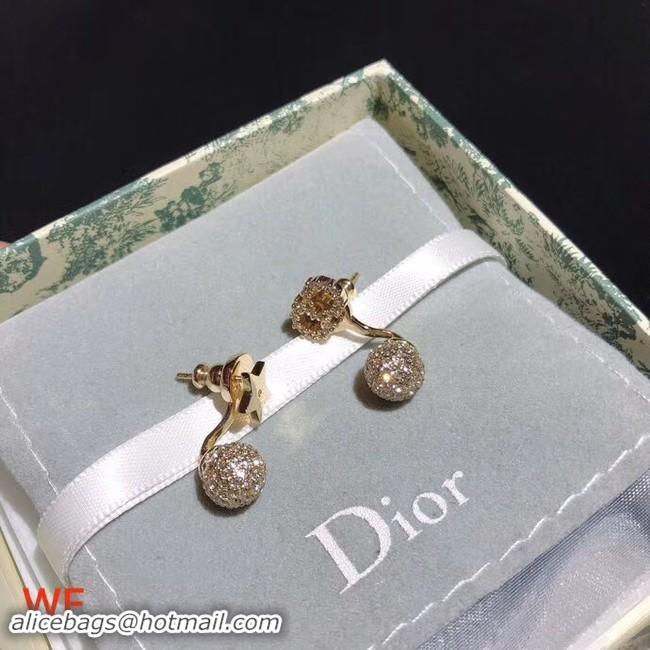 Shoulder Carry Dior Earrings CE3898