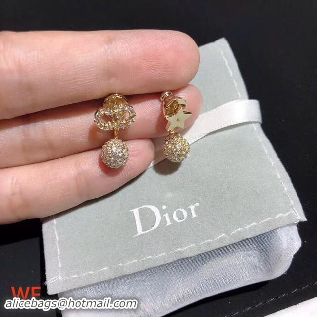 Shoulder Carry Dior Earrings CE3898