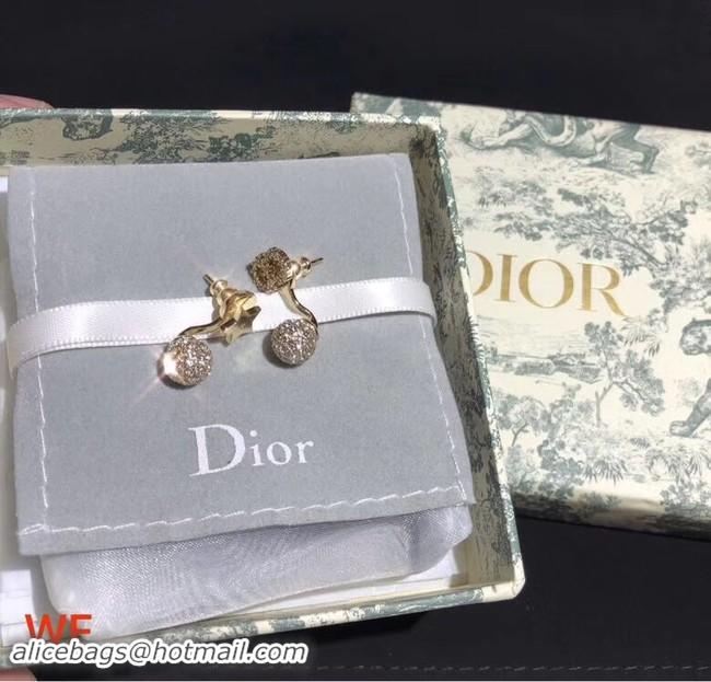 Shoulder Carry Dior Earrings CE3898