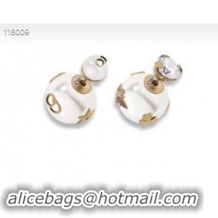 Most Popular Dior Earrings CE4067