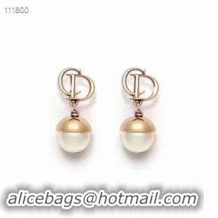 Original Cheap Dior Earrings CE4076