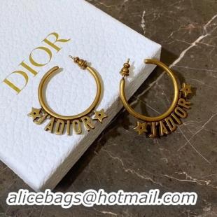 Perfect Dior Earrings CE4155