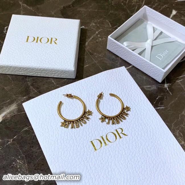 Perfect Dior Earrings CE4155