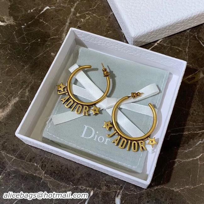 Perfect Dior Earrings CE4155