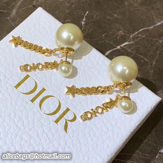 Purchase Dior Earrings CE4157