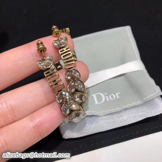 Most Popular Dior Earrings CE4204