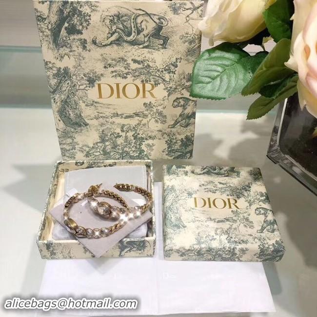 Most Popular Dior Earrings CE4204