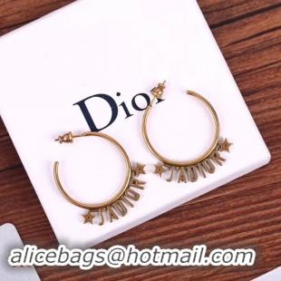 Classic Dior Earrings CE4266