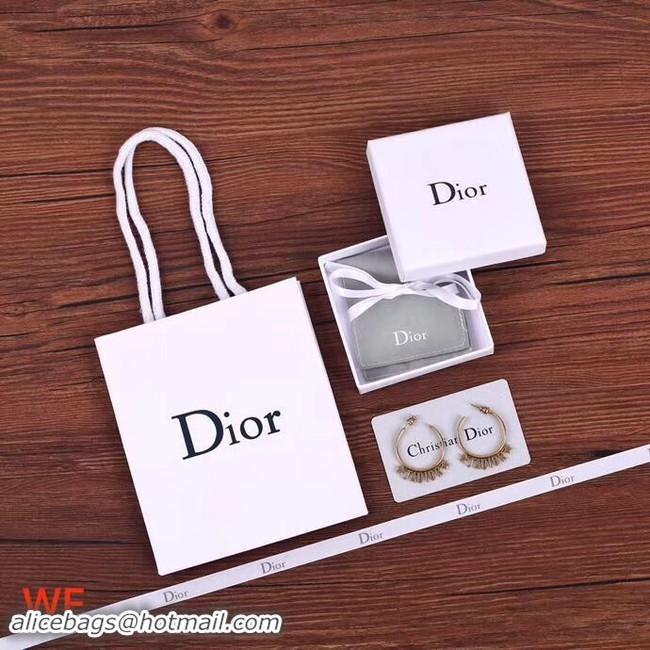 Classic Dior Earrings CE4266