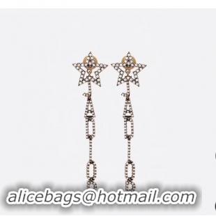 Luxury Dior Earrings CE4338