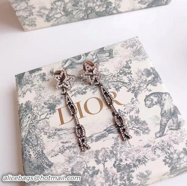 Luxury Dior Earrings CE4338