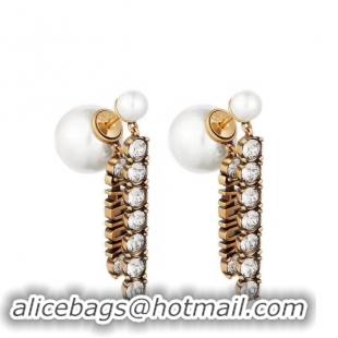 Distinguished Dior Earrings CE4340