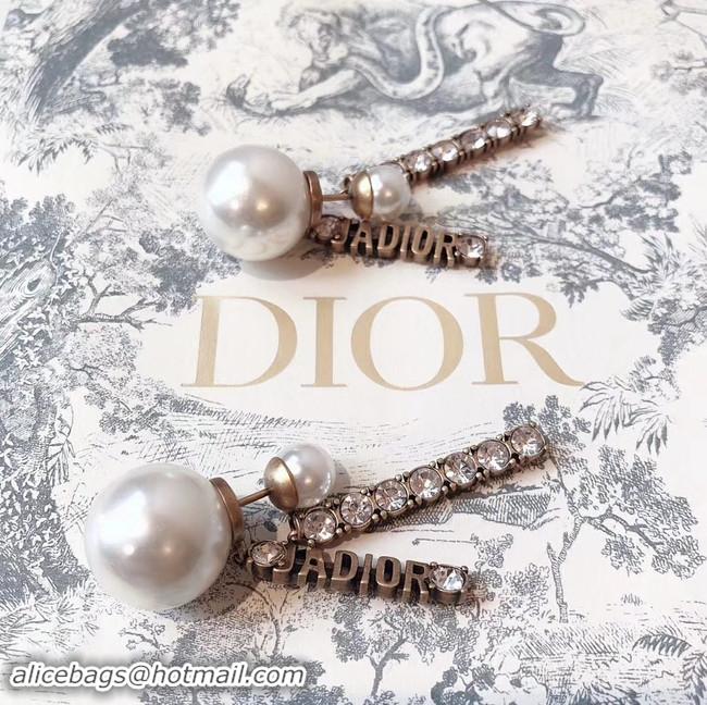 Distinguished Dior Earrings CE4340