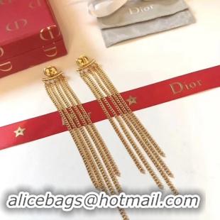 Luxury Dior Earrings CE4343