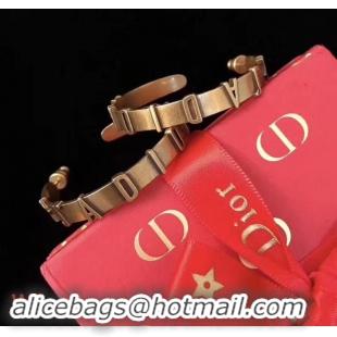 Luxury Dior Earrings CE4446