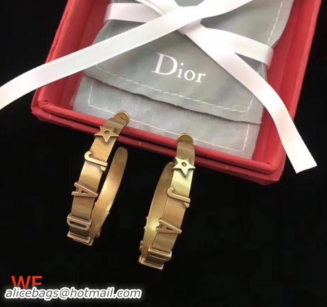 Luxury Dior Earrings CE4446